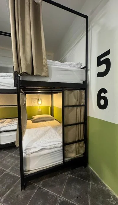 Bed in 6-Bed Female Dormitory Room — The Funky Turtle