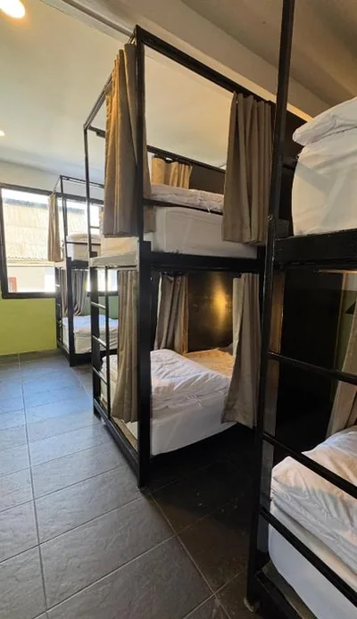 Bed in 6-Bed Mixed Dormitory Room — The Funky Turtle