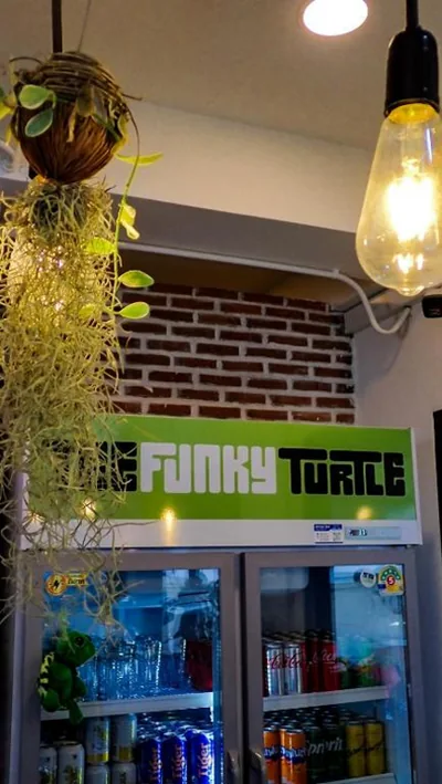 The Funky Turtle – Photos 10