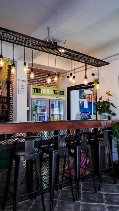 The Funky Turtle – Photos 12