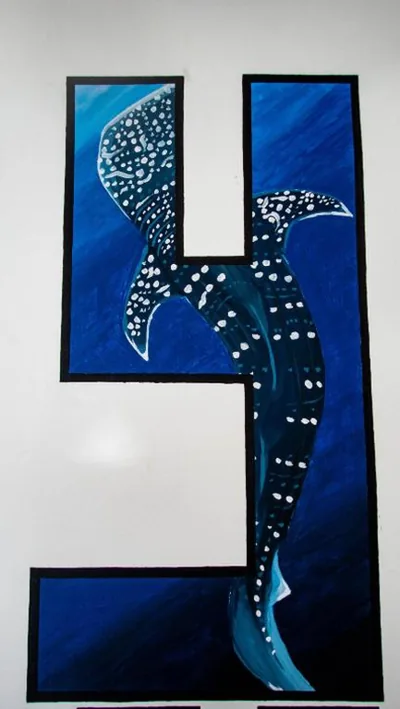 The Funky Turtle – Photos 15